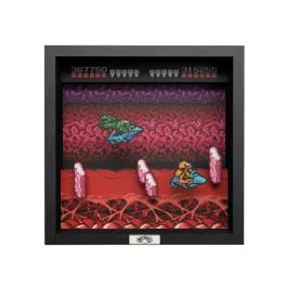 Pixel Frames - Battletoads - NES Turbo Tunnel 9in x 9in - PF-RA-001